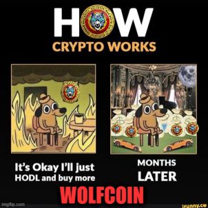 MONTHS LATER -WOLFCOIN
