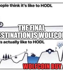 THE FINAL DESTINATION IS WOLFCOIN