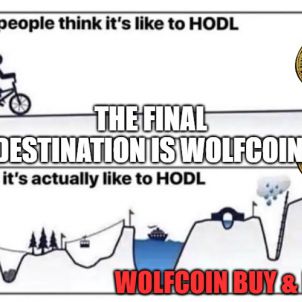 THE FINAL DESTINATION IS WOLFCOIN