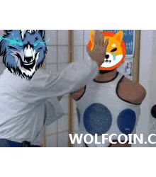 WOLFCOIN : Let's follow me, punch and punch