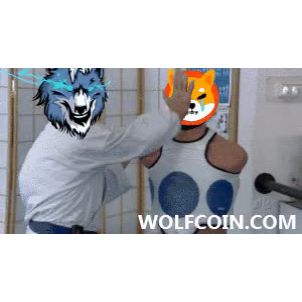 WOLFCOIN : Let's follow me, punch and punch