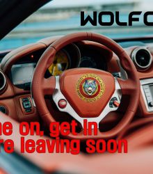 Come on, get in WOLFCOIN