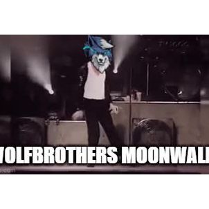 Wolf moonwalk~ 'WOLFCOIN'