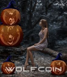 From the moment you join WOLFCOIN, your life will be filled with joy.