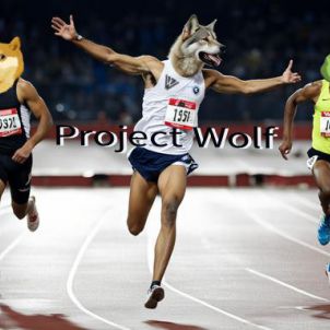 WOLFCOIN MEME Wolf 달리기