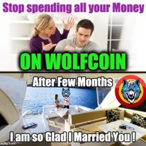 AFTER FEW MONTHS - WOLFCOIN
