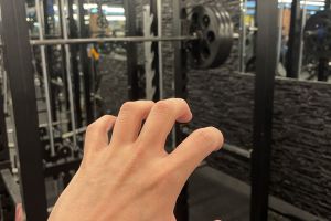 Wolf hand in the gym