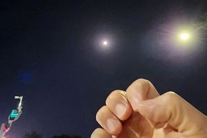 WOLFCOIN  보름달을 바라보며 WOLF HAND