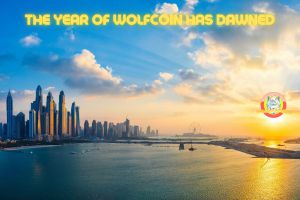 The year of WOLFCOIN has dawnded.