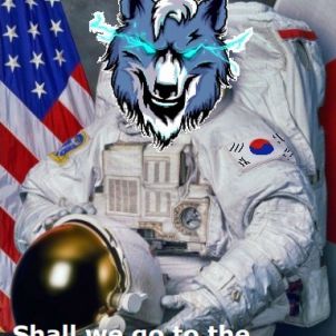 Space Wolf.WOLFCOIN