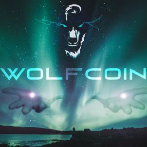 To travel an unfamiliar road, you must take the right path rather than the fast one. Right now, WOLFCOIN is on the right path to reach its destination accurately.