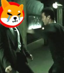 Save WOLFCOIN from bad evil Shiba inu(feat.NEO) # 2