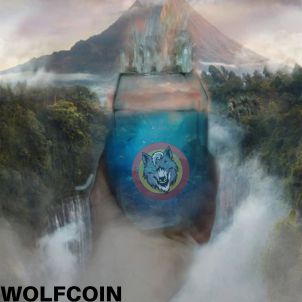 Well done is better than  well  said. If you're determined to be with WOLFCOIN, do it.