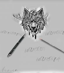 WOLFCOIN pencil drawing(the first version)
