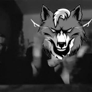 WOLFCOIN in the film( feat.Citizen Kane)