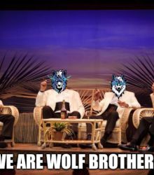 WE ARE WOLF BROTHERS!(WOLFCOIN MEME)
