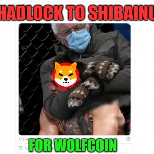 HADLOCK TO SHIBAINU (Feat.Bernie Sanders)  - WOLFCOIN - WOLFKOREA