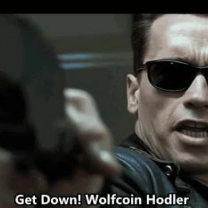 Get Down WOLFCOIN HODLER!